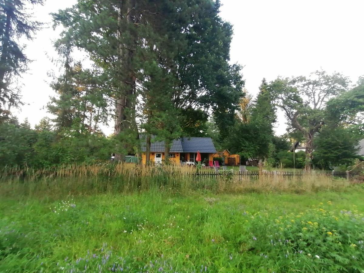 Willa Bleichehof Burg  Zewnętrze zdjęcie