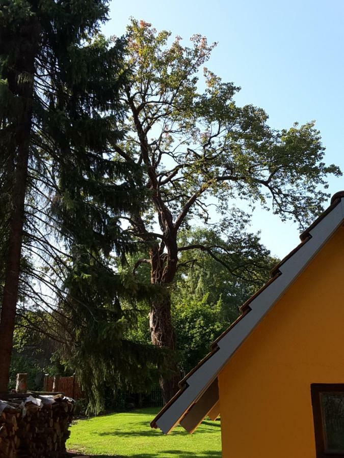 Willa Bleichehof Burg  Zewnętrze zdjęcie