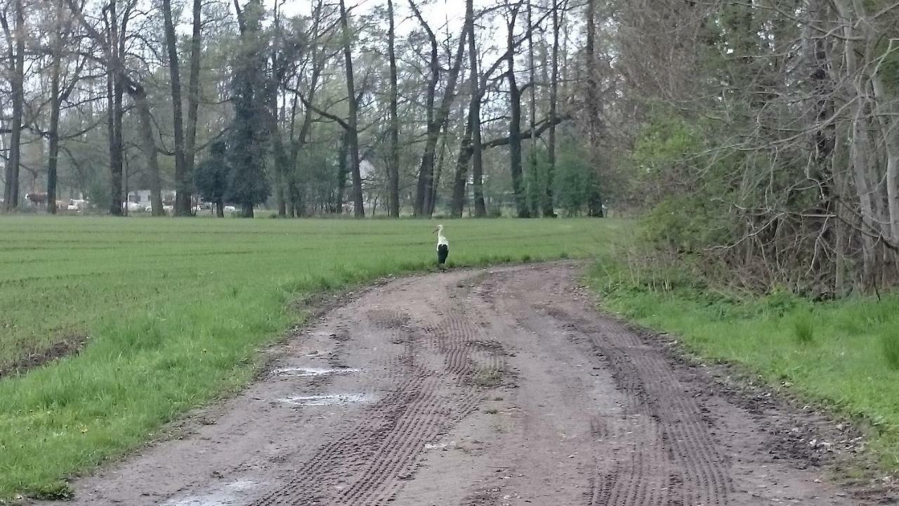 Willa Bleichehof Burg  Zewnętrze zdjęcie